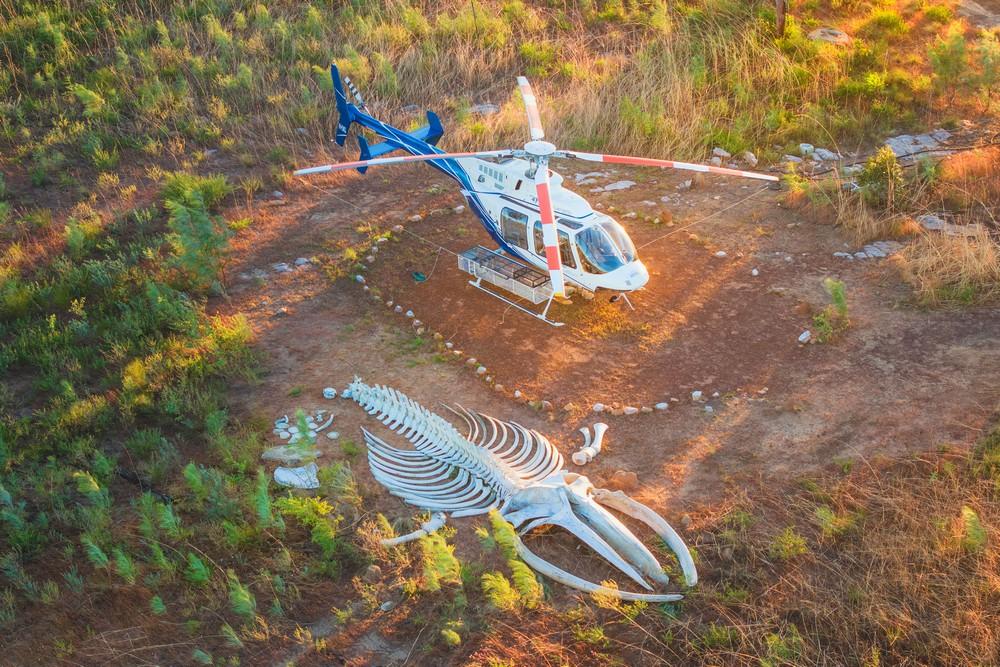 HELICOPTER TOURS | Berkeley River Lodge